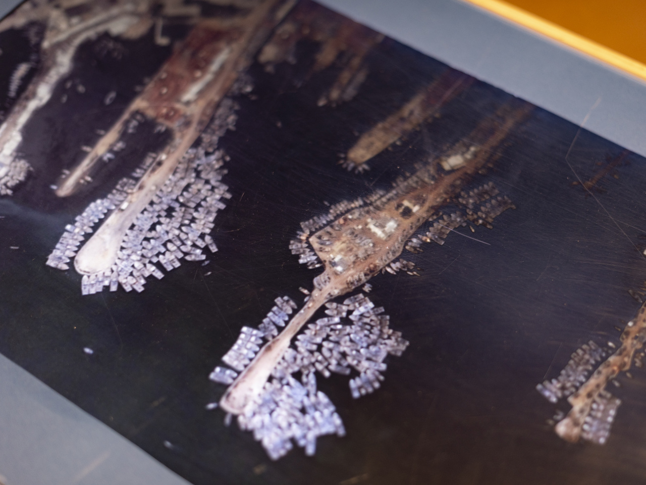 Luluwa Lokhandwala: Jaal Ki Raani & Reflections