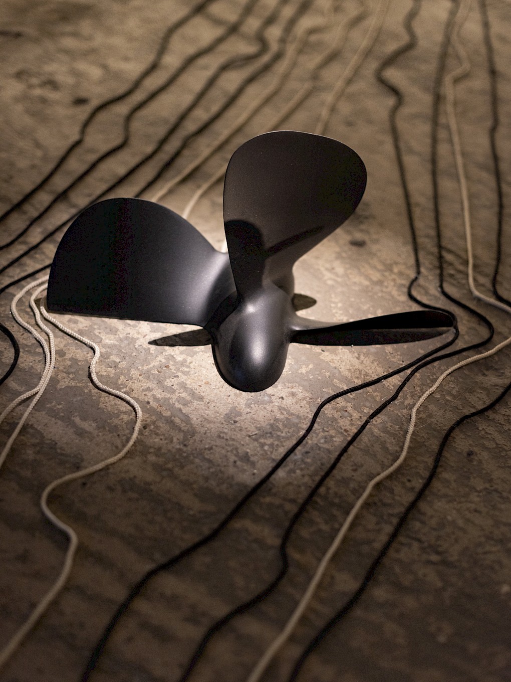 Ranjit Kandalgaonkar: Knotical \ Fancy Work